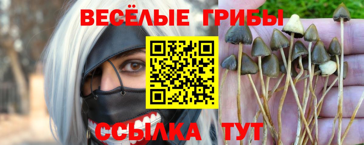 Псилоцибиновые грибы прущие грибы  где купить наркоту  Кунгур  Вход с VPN  Галлюциногенные грибы Magic Shrooms 